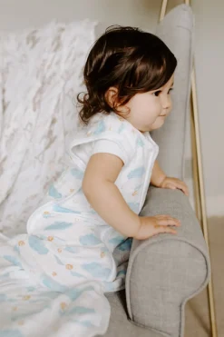Aden + Anais Classic Sleeping Bag - Harry Potter - Small (0-6 Months)
