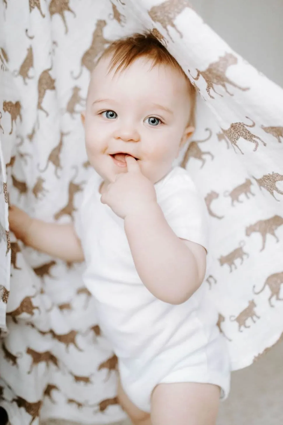 Aden + Anais Classic Swaddle Wraps, 4 Pack - Hear Me Roar