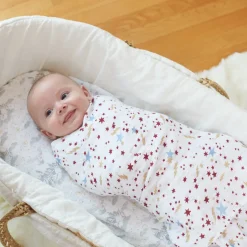 Aden + Anais Classic Swaddle Wraps, 4 Pack - Harry Potter Iconic