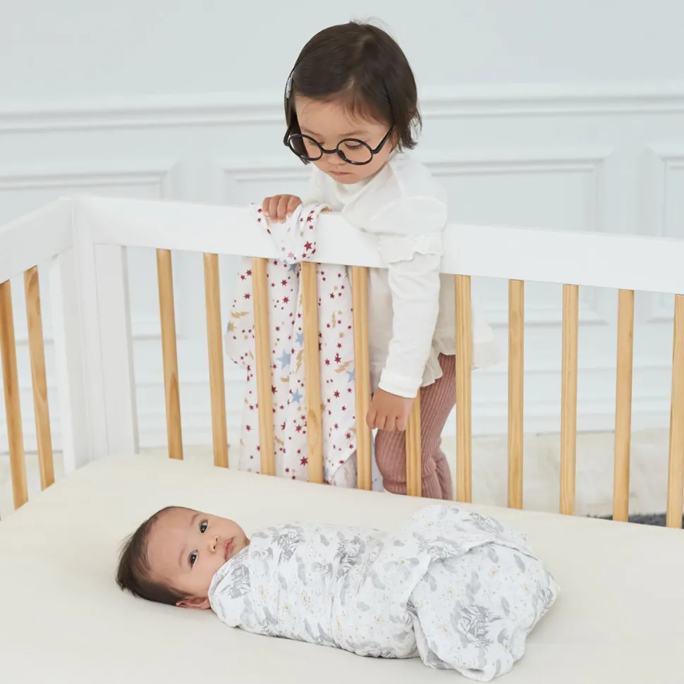 Aden + Anais Classic Swaddle Wraps, 4 Pack - Harry Potter Iconic