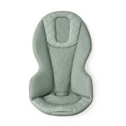 Ergobaby 3-in-1 Evolve Mesh Bouncer - Sage Green