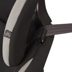 Evenflo Maestro Sport Harness Booster Car Seat - Crestone Peaks