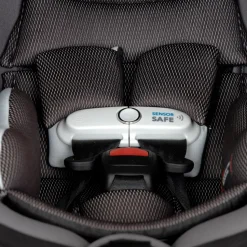 Evenflo Shyft DualRide Infant Car Seat and Stroller Combo - Beaufort Black