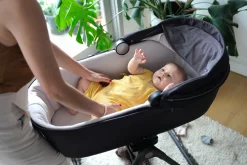 Inglesina Electa Bassinet + Stand - Upper Black