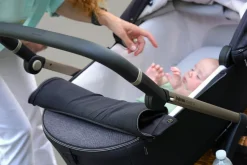 Inglesina Electa Bassinet + Stand - Upper Black