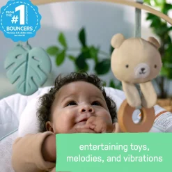 Kids2 Ingenuity Cozy Spot Soothing Bouncer