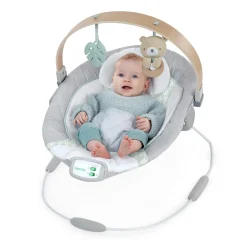 Kids2 Ingenuity Cozy Spot Soothing Bouncer