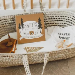 Lucy Darling Memory Book - Little Camper