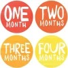 Lucy Darling Monthly Stickers - Rainbow Spectrum