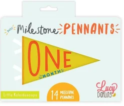 Lucy Darling Petit Milestone Pennant - Little Kaleidoscope