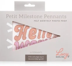 Lucy Darling Petit Milestone Pennant - Flower Child