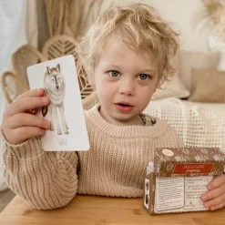 Modern Monty Snap & Go Fish - Woodland (2 Card Games in 1)