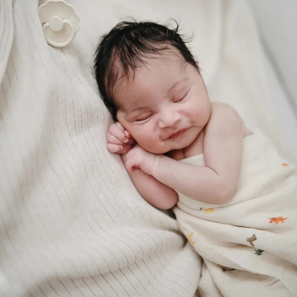 Mushie Organic Cotton Muslin Swaddle Blanket - Dinosaurs