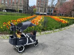 Pronto One (2 Seater) Stroller Wagon - White Frame / Ginger Yellow