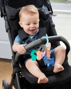 Skip Hop Dog Walker Stroller Toy