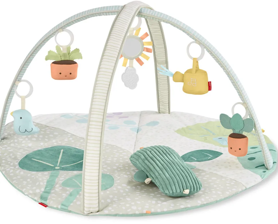 Skip Hop Garden Oasis Activity Gym