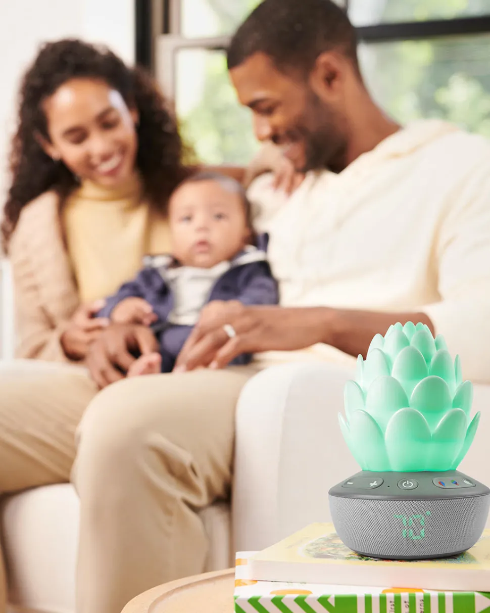 Skip Hop Terra Cry-Activated Soother