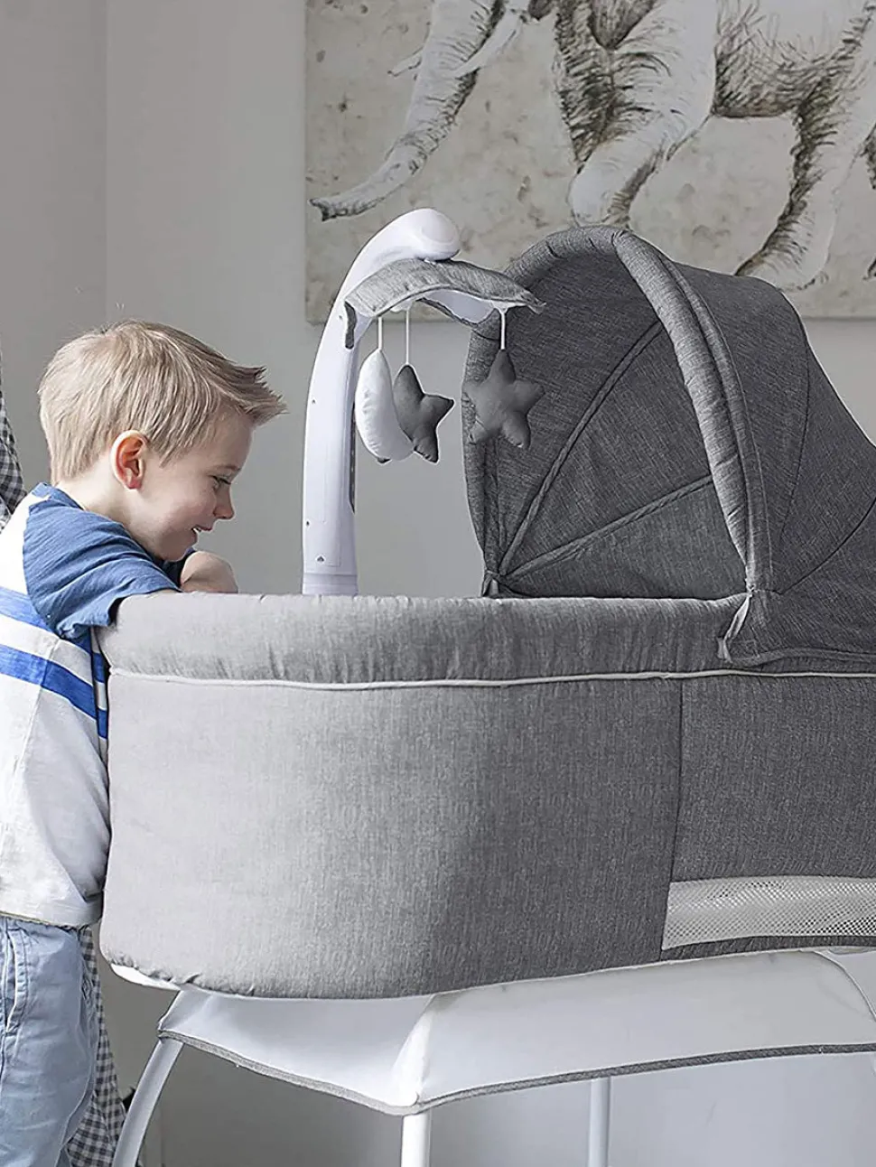 TruBliss Deluxe Bassinet - Stonewash